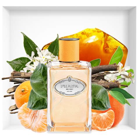 infusion de mandarine fragrance